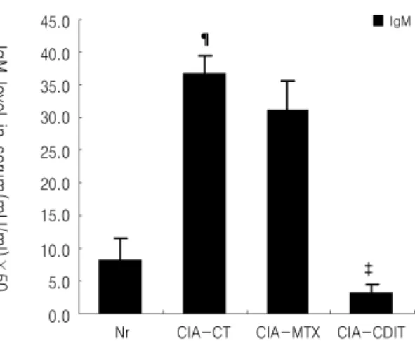 Fig. 4. Histological section of paw joints(Hematoxylin &amp; Eosin staining) from CIA mice A : Normal DBA/1J mouse group