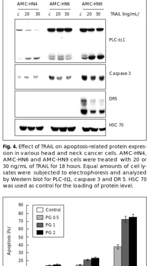 Fig. 4. Effect of TRAIL on apoptosis-related protein expres- expres-sion in various head and neck cancer cells
