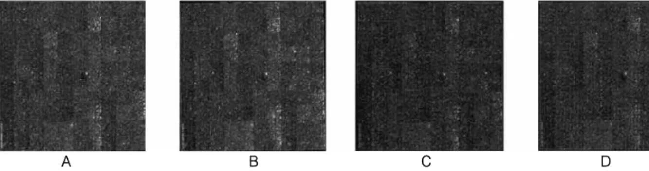 Fig. 3. Scan image of experiment gene chips.
