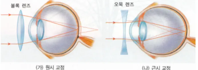 Fig. 5. (Color online) Expression of use of glasses (text- (text-book B).  . Õ ª Q  z ´] j Ð èH \ " f Ïã J]X s  ©  ´ú §s  s À Ò# Qt H Â Òì rÉ r / BN l \ " f y } Ü ¼ Ð yn Cs    ' ½+ É M :s  