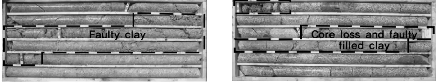 Fig. 14. Drilling core