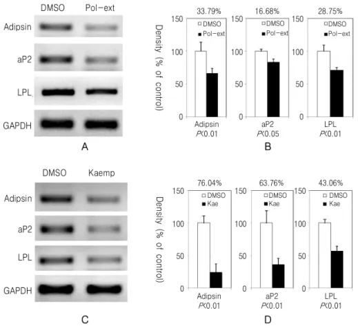 Fig. 4. Polygonati rhizoma (Pr) extract and kaempferol reduce the expression of genes associated with 3T3-L1 cell differentiation