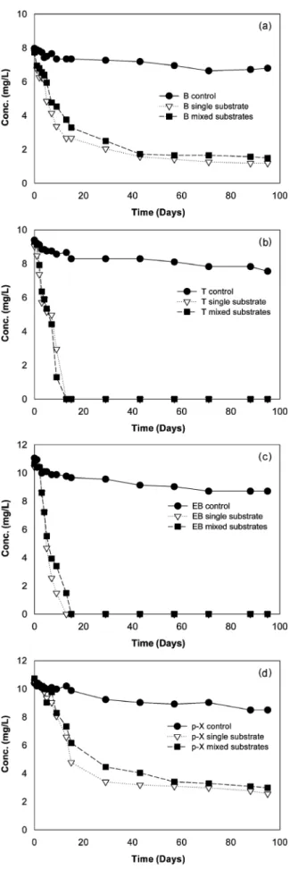 Fig. 2. Biodegradation of BTEX under aerobic/denitrifying condition  at 25 ℃: (a) Benzene (b) Toluene (c) Ethylbenzene (d)  p -Xylene in a control (●), a single substrate (▽) and a  mixed substrates (■), respectively