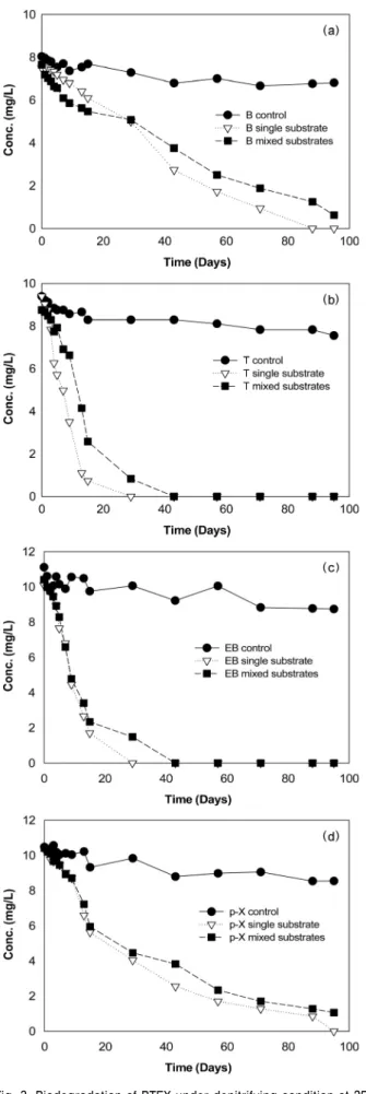 Fig. 3. Biodegradation of BTEX under denitrifying condition at 25 