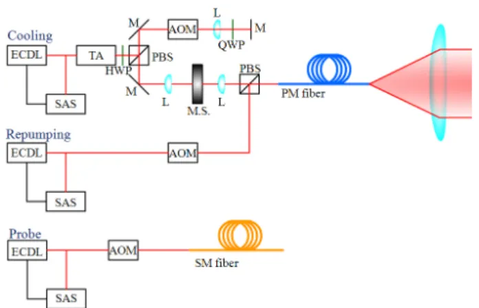 Fig. 1. (Color online) Lasers setup for MOT and mea- mea-surement (ECDL : external cavity diode laser, SAS : saturated absorption spectrum, TA : tapered amplifier, HWP : half wave plate, QWP : quarter wave plate, M : mirror, PBS : polarization beam splitte