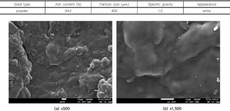 Fig. 2. Scanning electron microscope of polymer
