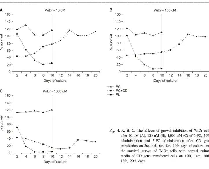 Fig.  4.  A,  B,  C.  The  Effects  of  growth  inhibition  of  WiDr  cells  after  10  uM  (A),  100  uM  (B),  1,000  uM  (C)  of  5-FC,  5-FU  administration  and  5-FC  administration  after  CD  gene  transfection  on  2nd,  4th,  6th,  8th,  10th  da