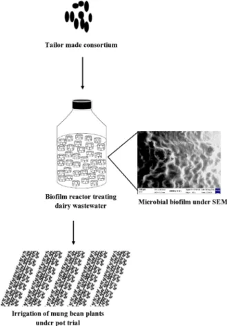 Fig. 4. A schematic diagram summarizing the author’s strategy for bioremediation and zero liquid discharge