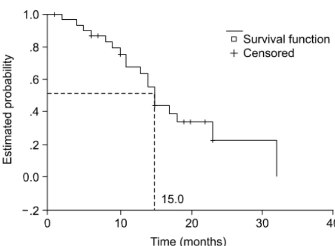 Fig.  1.  Time  to  progression;  median  TTP=6  months.