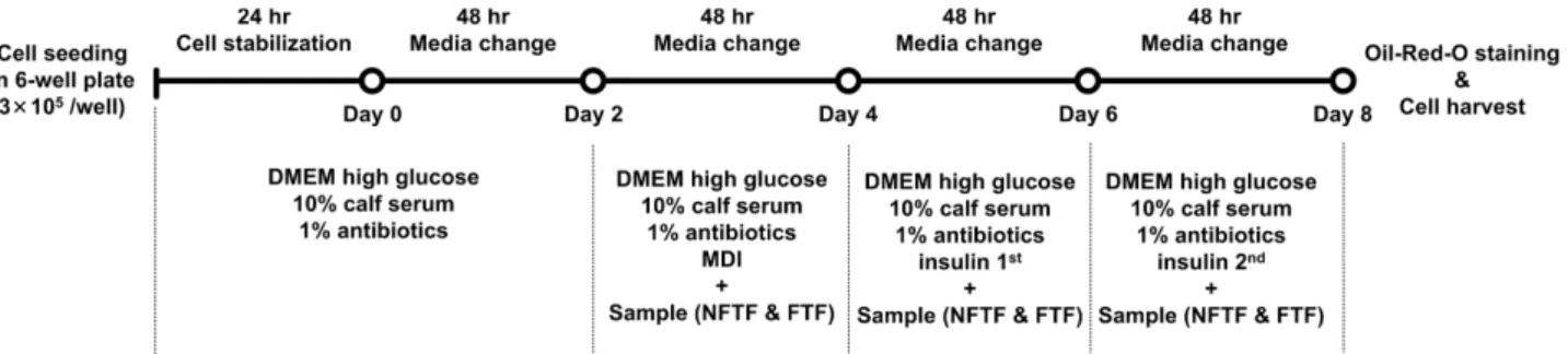 Fig. 4.  Flowchart of 3T3-L1 adipocyte differentiation procedure. Cell medium for adipocyte differentiation was composed of DMEM.