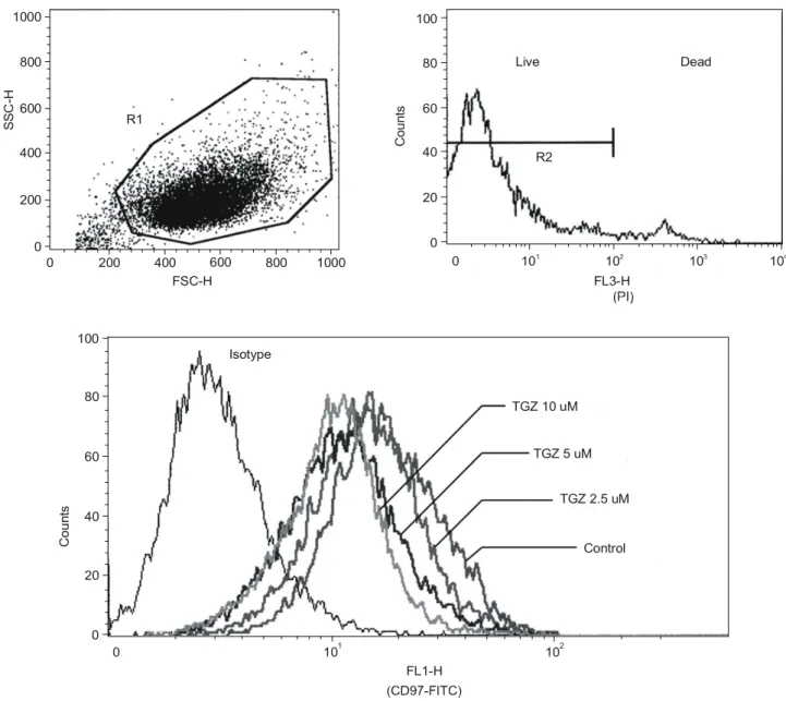 Fig.  1.  Change  in  expression  of  CD97  after  4  days  of  treatment  with  troglitazone  (TGZ)  in  FTC-133  cells