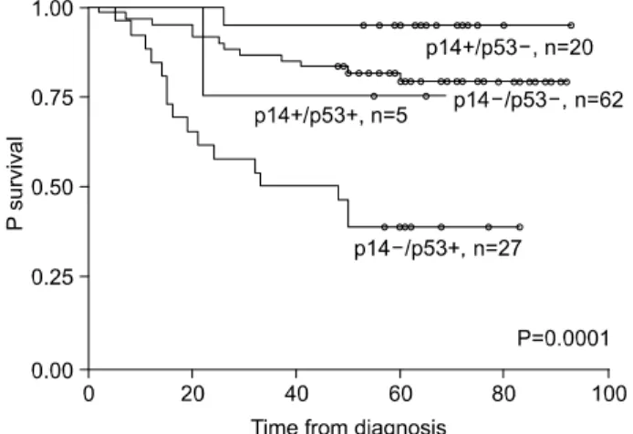 Fig.  4.  Survival  curve  according  to  the  expression  of  p53  and/or  p14 ARF . 