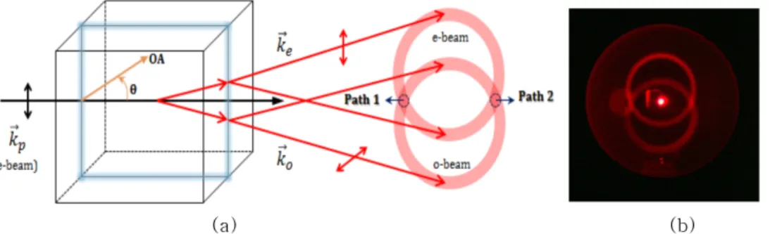 Fig. 1. (Color online) (a) Spontaneous down conversion cones present with type-II phase matching