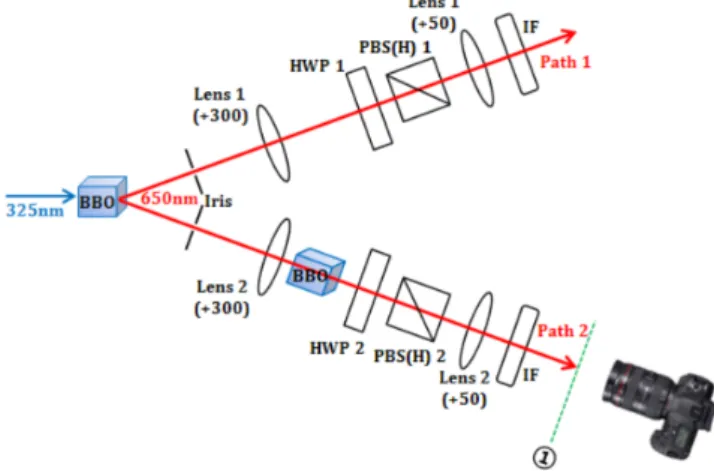 Fig. 8. (Color online) Signal(HWP 0 ◦ and 45 ◦ ) at po- po-sition `(Fig. 7). Digtal camera exposure time : 60 seconds.