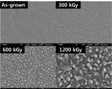 Fig. 2. Surface morphologies of V 2 O 5 films irradiated by various dose rates.