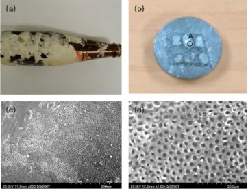Fig. 1. Experimental setup of LIBS. # Q\¦ ] jr   ¦  ô Ç . s   s n # Q H 1l x{9 ô Ç Y Us $  ìr F g © u \ " f Ã º×æ r « Ñ\  @ /ô Ç ì r$3 `¦ Ã º' ½+ É M : 6 x K ÷&amp; #