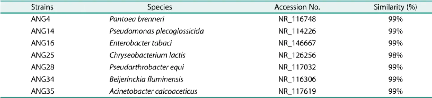 Table 4. Identification of isolated strains by 16S rRNA gene analysis.