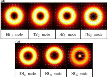 Fig. 2. (Color online) Hybrid modes confined in core.