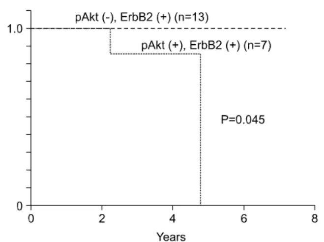 Fig.  1.  Kaplan-Meier  survival  plots  of  patients  with  ErbB2  positive  node-negative  breast  cancer  according  to  pAkt  expression