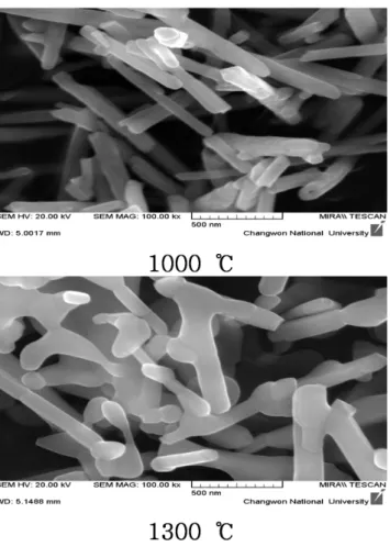 Fig. 5. FE-SEM image of Gd 2 O 3 :Eu 3+ (2.5 mol%) nan- nan-otubes.