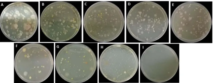 Fig. 1. (A-I) Spread plates showing primary screening of multiple heavy metal resistant microbial cultures on LB agar plates supplemented with 1 mM of each heavy metals (Cd, Ni, Fe, Pb, Cu and Zn)