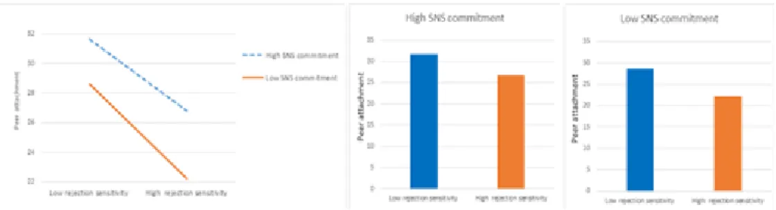 Figure 3.1 The moderating effect of SNS commitment on the relationship rejection sensitivity and peer attachment among adolescent