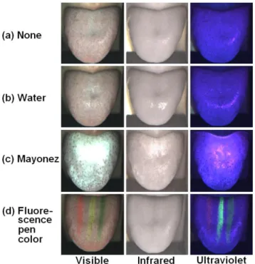 Fig. 4. (Color online) Comparision of visible, infrared, and ultraviolet images of tongue which are uncoated (a), wetted by water (b), coated by mayonez (c) and painted by fluorescence pen (d)