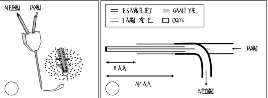 Fig. 2. Schematic drawing of microdialysis catheter for the nasal cavity (A). Catheter was made with Cuprophan hol- hol-low fiber (200 μm inner diameter, 300 μm outer diameter) and microdialysis was made through microdialysis membrane (45 kDa weight cut-of