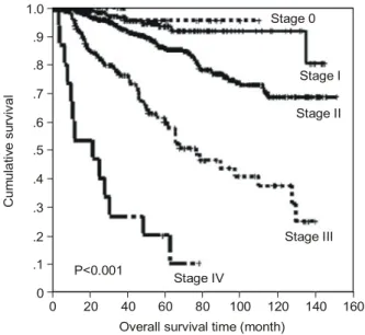 Fig.  3.  Overall  survival  rate  according  to  age  groups. 