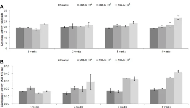 Fig. 4. Cumulative mortality of  S. parauberis in olive flounder fed with control and B