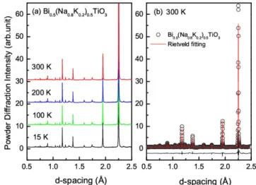 Fig. 1. (a) Powder diffraction pattern of Bi 0.5