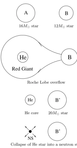 Fig. 5. Conventional model for double neutron star bi- bi-nary evolution [3]. The neutron star goes into common envelope evolution, dropping towards the star, the  in-creased gravitational binding energy being used to expel the hydrogen envelope
