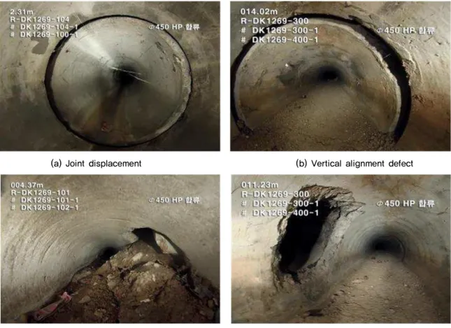 Fig. 7. Type of sewer pipe defect