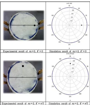 Fig. 2. Experimental results and Simulation results of m = 1.