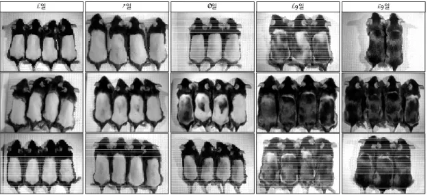 Fig. 5. Change of the gross morphology of hair growth in the depilated area of mice according to the duration：