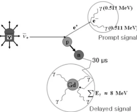 Fig. 1. RENO detector configuration. Left side is total configuration and buffer is focused in the right side.