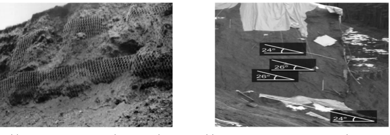 Fig. 3. Failure case of geosynthetic retaining segmental wall abroad
