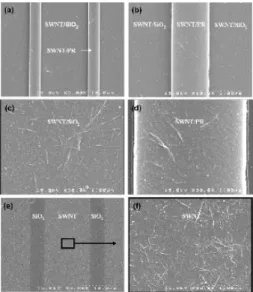 Fig. 3. SEM image of SWNT multi-channel patterns(×2000).