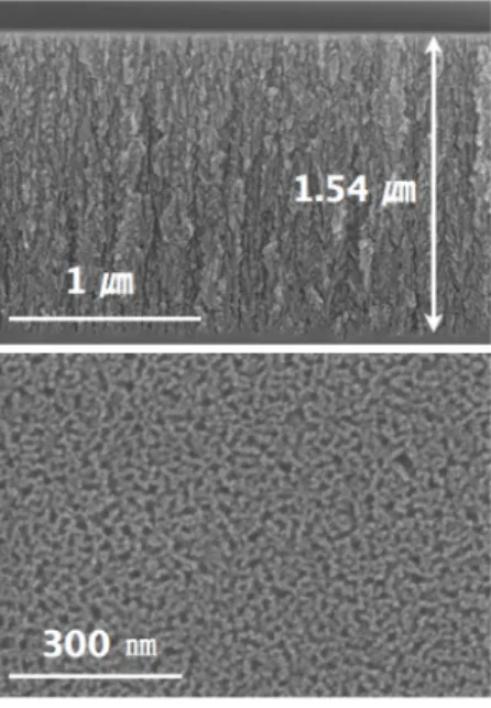 Fig. 1. Cross-section and surface SEM images of the porous silicon layer.