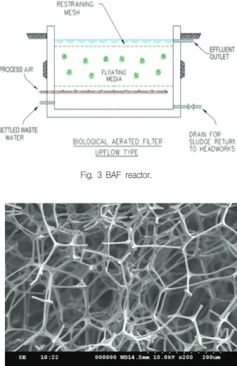 Fig.  3  BAF  reactor.