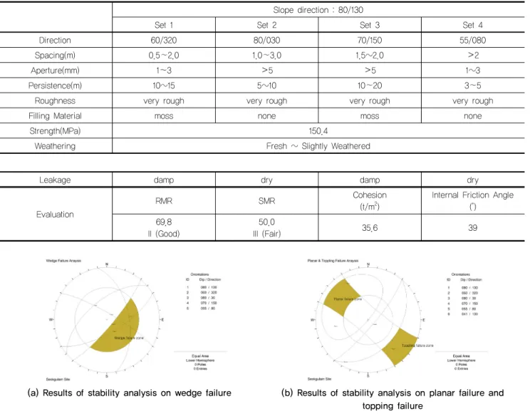 Fig. 8. DIPS analysis for the evaluation of discontinuities direction