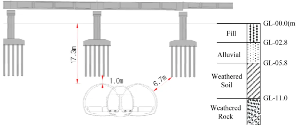 Fig. 1. Schematics of 2-Arch tunnel construction
