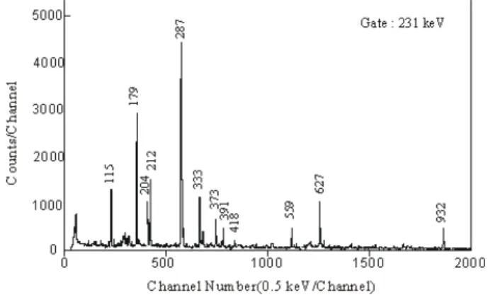 Fig. 6. Coincidence γ-ray spectra by gating on the 231- 231-keV transition within a time interval of ±140 ns.