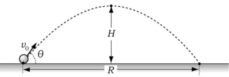 Fig. 1. Projectile motion.