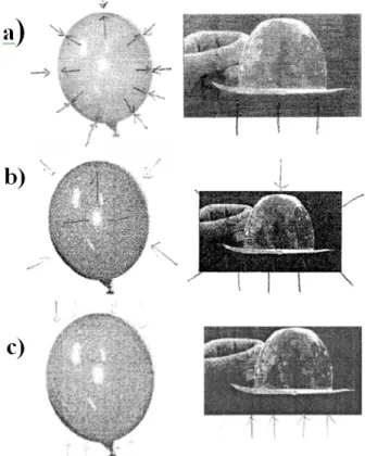 Fig. 3. Students’ responses of the directions of the force exerted by the air pressure and water pressure.