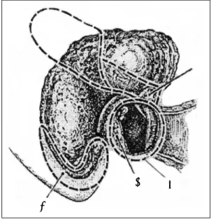 Fig. 4. Common problem areas in CWD. 