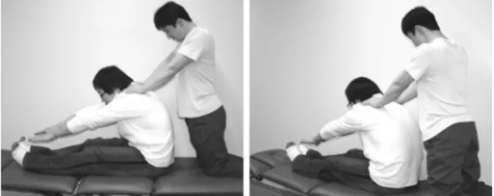 Fig. 2.  Back extensor muscles are stretched by isometric contraction  while  applied  external  force.