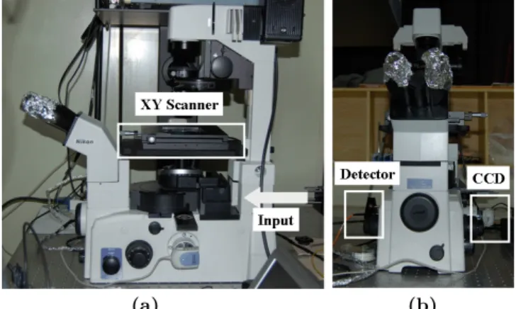 Fig. 1. Sample scanning confocal microscope.