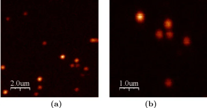 Fig. 9. Reflection images of latticed Cr at intervals of 5 µm (a) 50 µm size image (b) 30 µm size image.