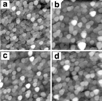Fig. 6. Three-dimensional AFM images for the deposits prepared at different voltages: (a) 40 V, (b) 60 V, (c) 80 V, and (d) 100 V